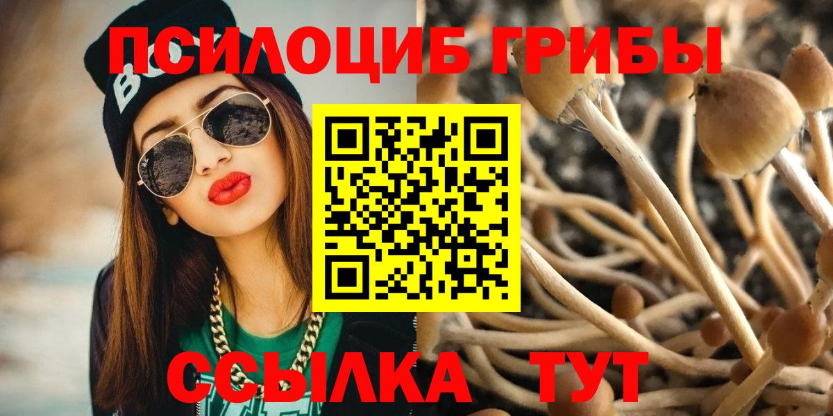 Дербент  Галлюциногенные грибы MAGIC MUSHROOMS  Вход с VPN 