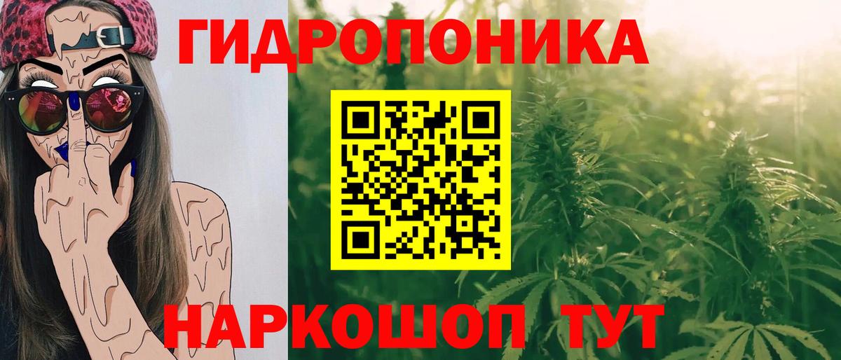 Бошки марихуана конопля Дербент